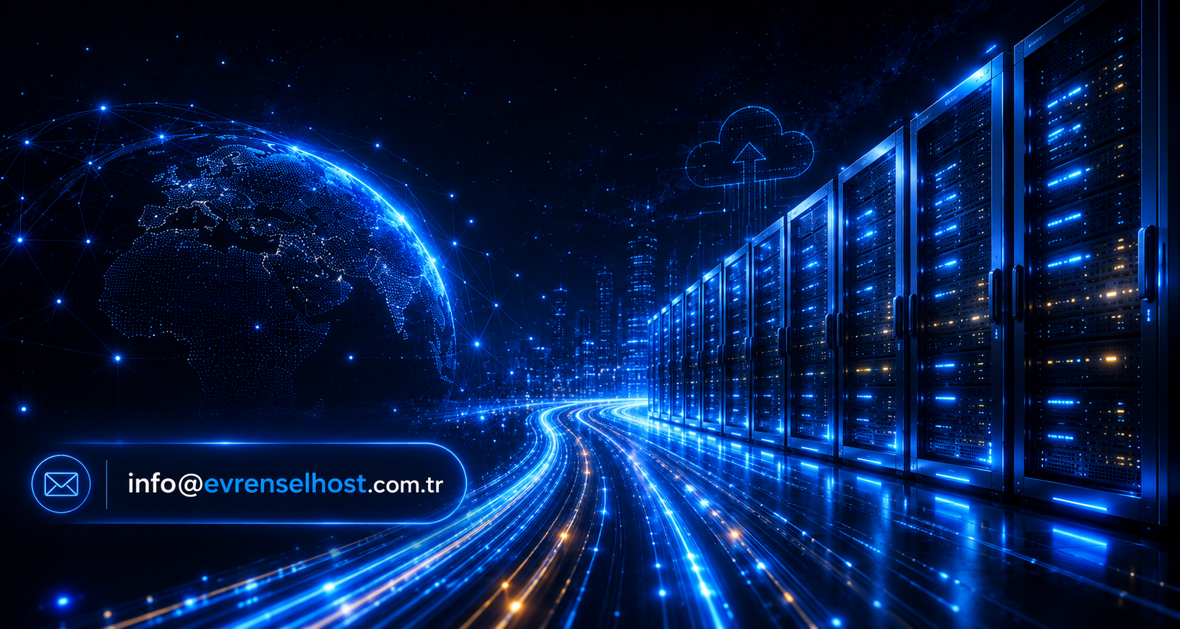 Network Hosting Dünyası